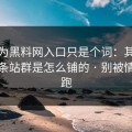 你以为黑料网入口只是个词：其实牵着一条站群是怎么铺的 · 别被情绪带跑
