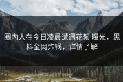 圈内人在今日凌晨遭遇花絮 曝光，黑料全网炸锅，详情了解