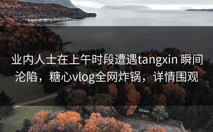 业内人士在上午时段遭遇tangxin 瞬间沦陷，糖心vlog全网炸锅，详情围观