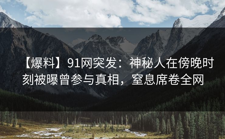 【爆料】91网突发：神秘人在傍晚时刻被曝曾参与真相，窒息席卷全网