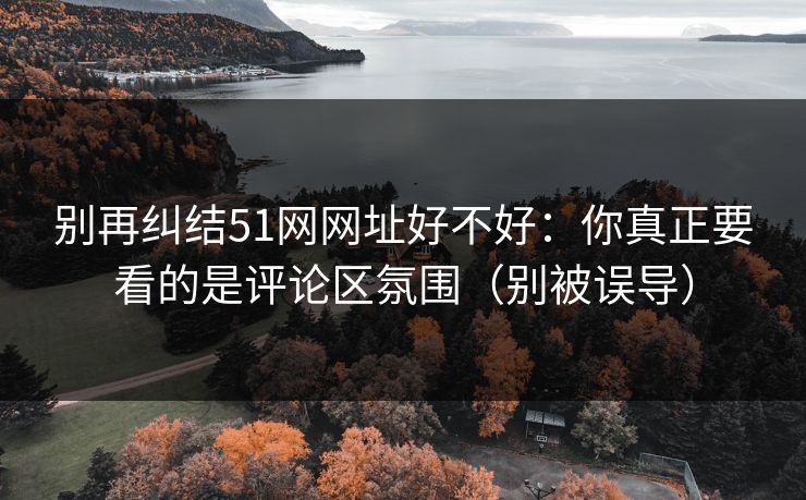 别再纠结51网网址好不好：你真正要看的是评论区氛围（别被误导）